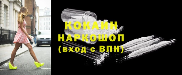 дмт Абаза