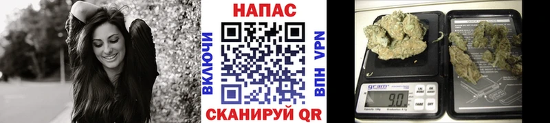 Бошки Шишки семена  Болохово 